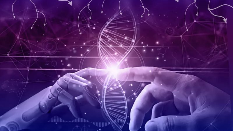 AI数据标注公司批发报价，揭秘行业定价逻辑